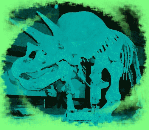 Celophys : Arising of Triceratops